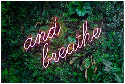 the word breathe spelled out in neon lights amide green leaves