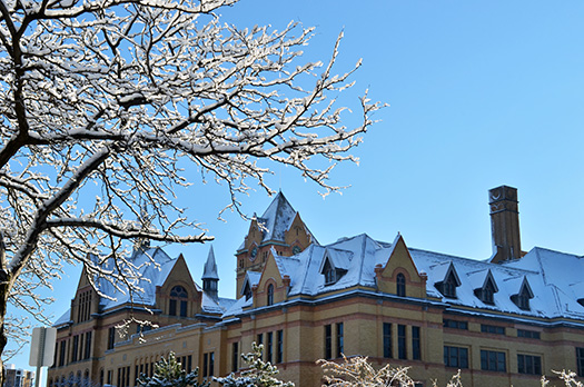 Old main building covered with snow in the winter with fluffy snow-covered tree to the side